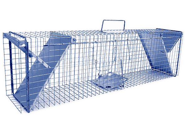 Sklopec na kuny 102×20×27 cm – kompletní sada s granulemi a vábidlem