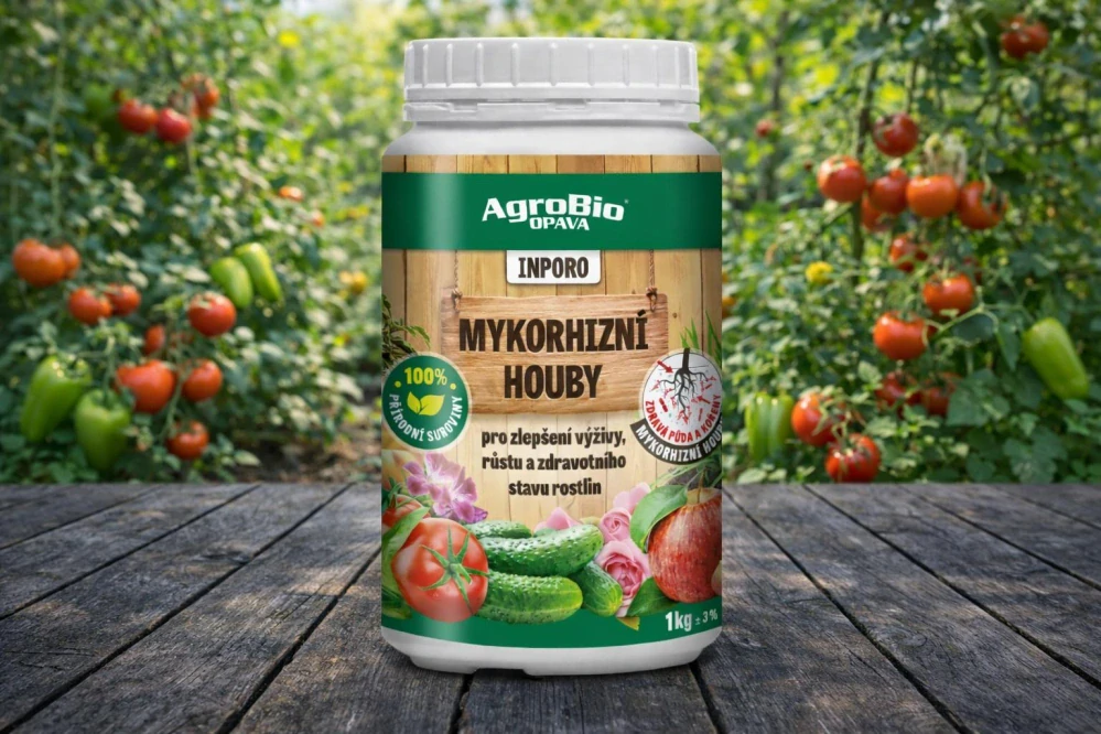 Mykorhizní houby - Mega balení 1 kg