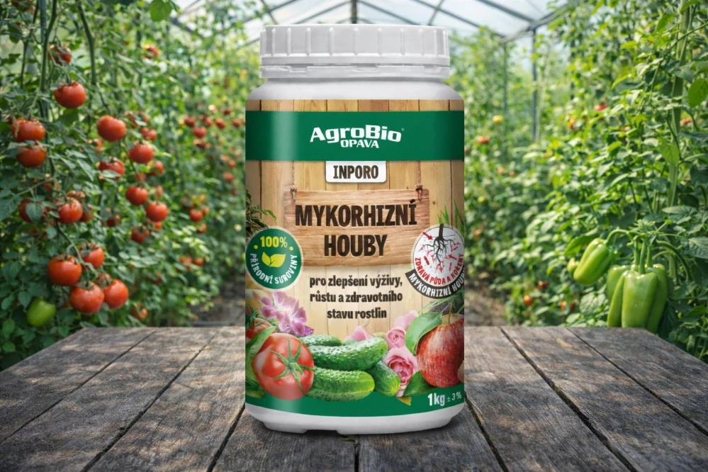 Mykorhizní houby - Mega balení 1 kg